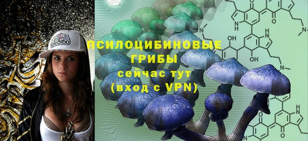 сатива Бугульма