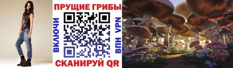 Купить где  Красновишерск  Галлюциногенные грибы MAGIC MUSHROOMS 